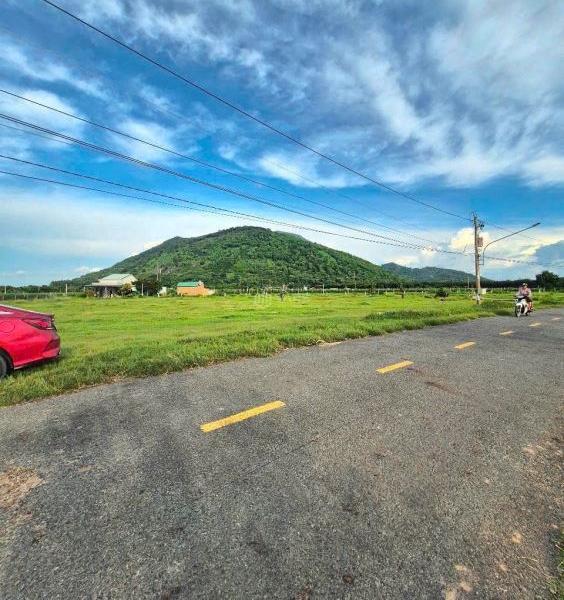 Bán 50 🏦 x 200 Tân bình thành phố Tây Ninh chỉ có 4 tỷ 500
