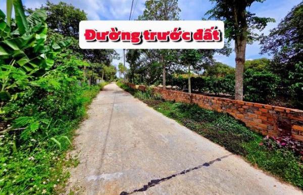 ❌❌GIÁ RẺ SIÊU LỜI _ 901m2 thổ cư 71m2 chỉ 299 🏘️ triệu (đường bê tông,đất Eakar)