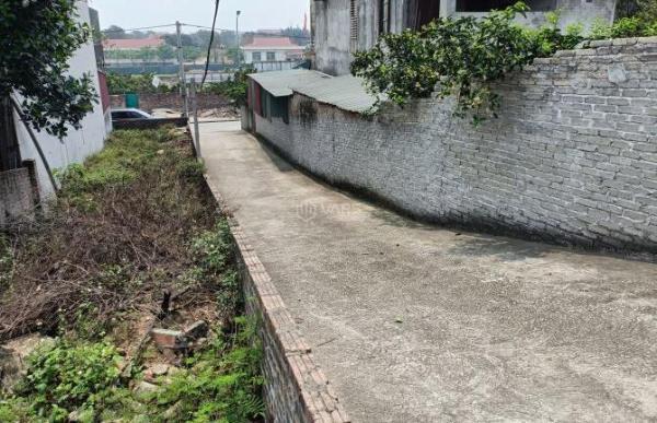 Bán gấp lô góc 1000m2,MT 50m, đất phật tích ngay dự án vingrup, đường 👍 ô tô , giá 16.5 tỷ