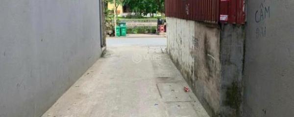 🏡 BÁN ĐẤT 🏠 THỔ CƯ – YÊN MỸ, HƯNG YÊN | 61M², MẶT TIỀN 4M – SỔ ĐỎ CHÍNH CHỦ
