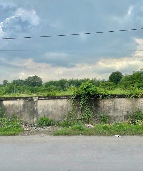 Cần bán Đất nền riêng lẻ 3000m²
