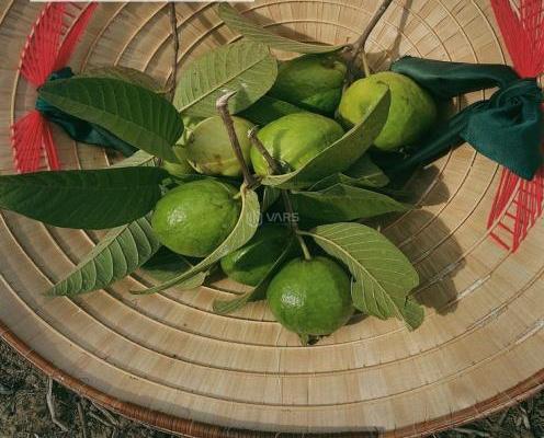 Chủ cần bán Khác 1000m²