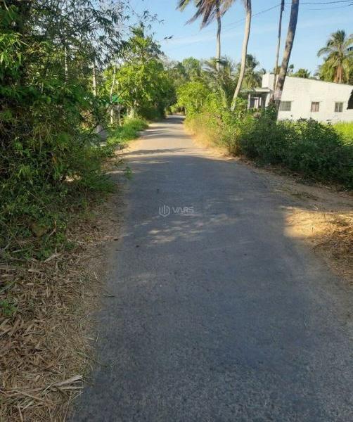 Bán Đất nền riêng lẻ 1188m²