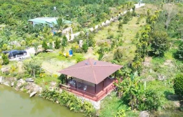 Chính chủ bán 🏬 310m2 (10x31) đất bảo lộc giá chỉ 450tr sổ hồng sẵn