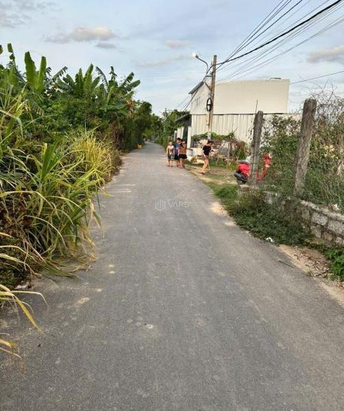 Bán Đất nền riêng lẻ 79m²