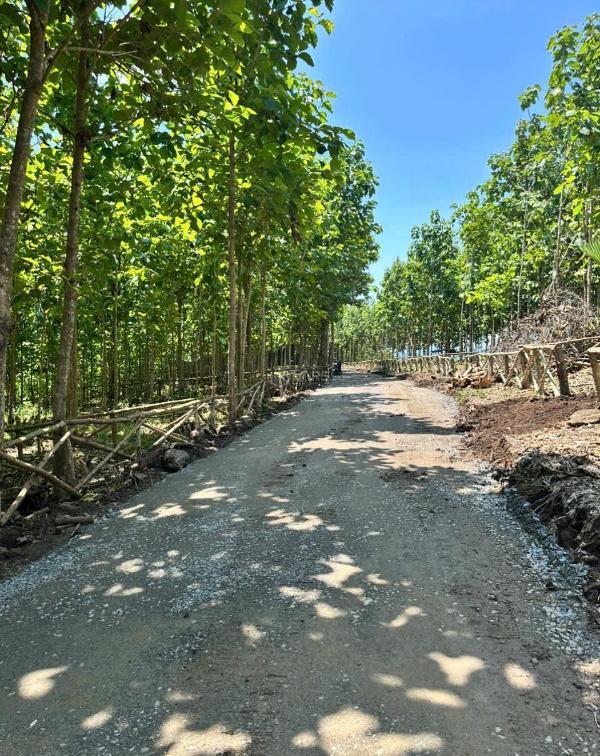 Bán đất vườn nghỉ dưỡng 🏦 định quán 1000m², gần quốc lộ 20, sau đất giáp suối