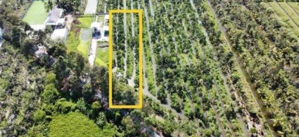 Cần bán Đất nền riêng lẻ 1208m²