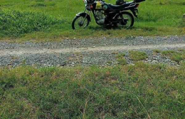 Cực đẹp bán lô đất thổ cư xã Thạnh Nhựt 🏚️ Gò công Tây Tiền Giang