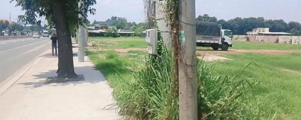 Bán Đất nền riêng lẻ 175m²