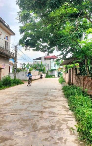 Chủ cần bán Đất nền riêng lẻ 116m²
