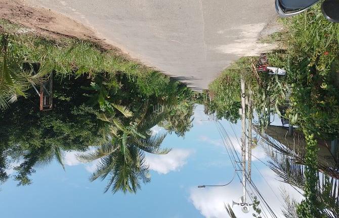 Hình ảnh 3