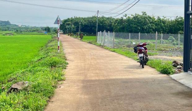 Hình ảnh 4