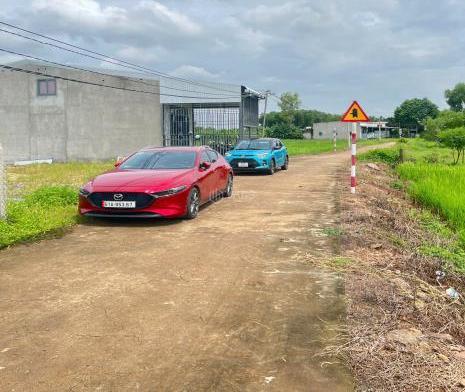 Hình ảnh 2