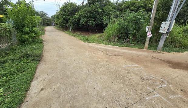 Hình ảnh 2