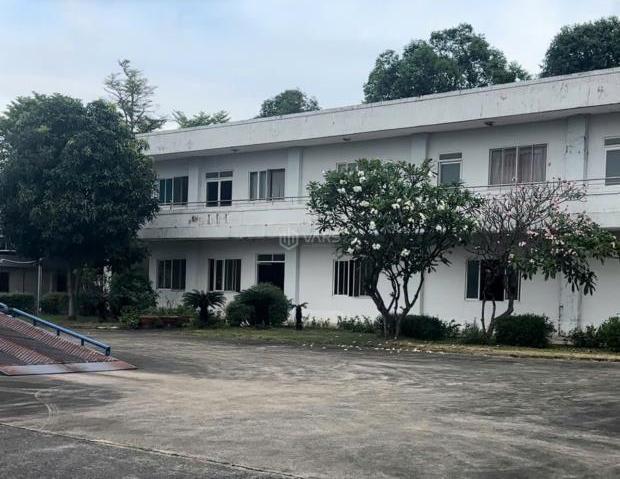 Hình ảnh 4