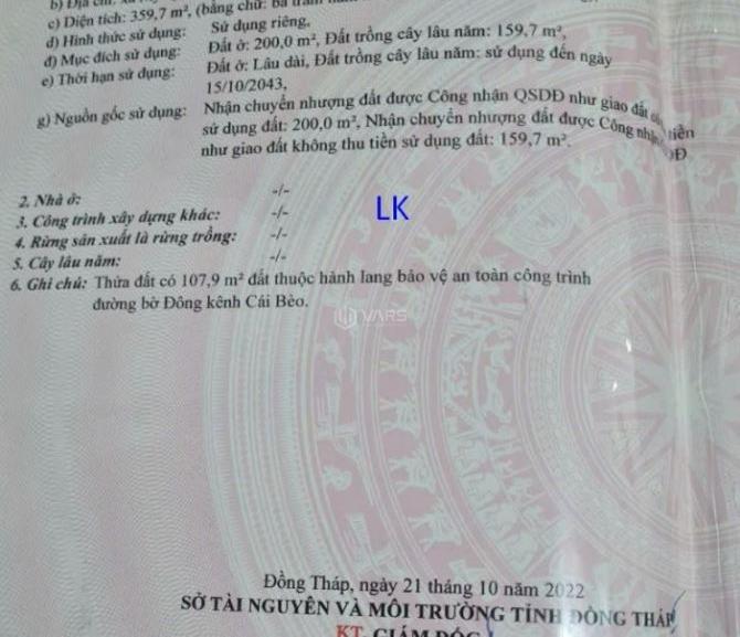 Hình ảnh 4