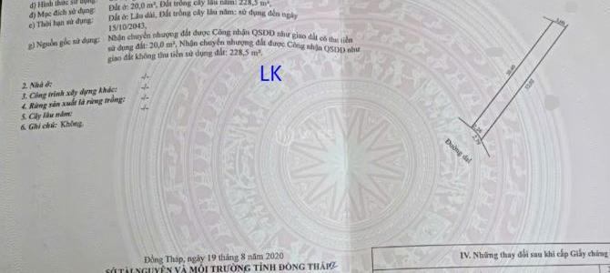 Hình ảnh 2