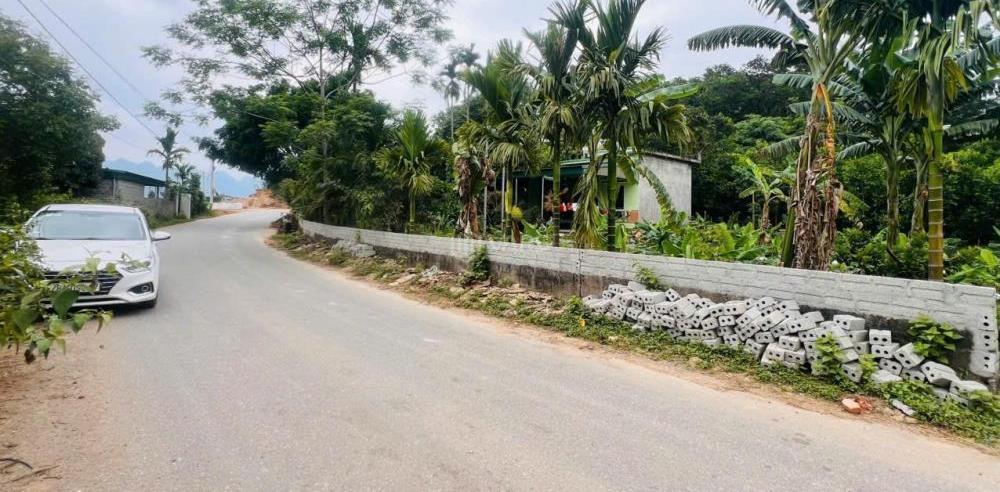 Hình ảnh 4