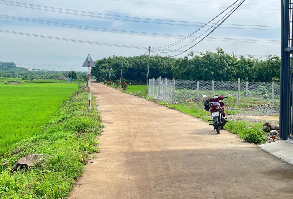 Hình ảnh 2