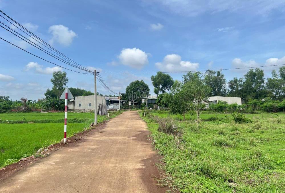 Hình ảnh 4