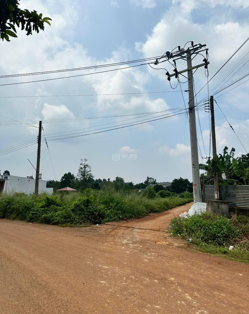 Hình ảnh 1