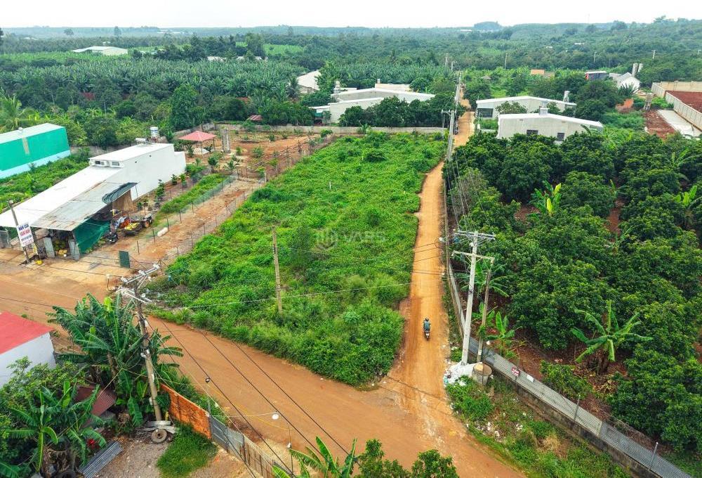 Hình ảnh 4
