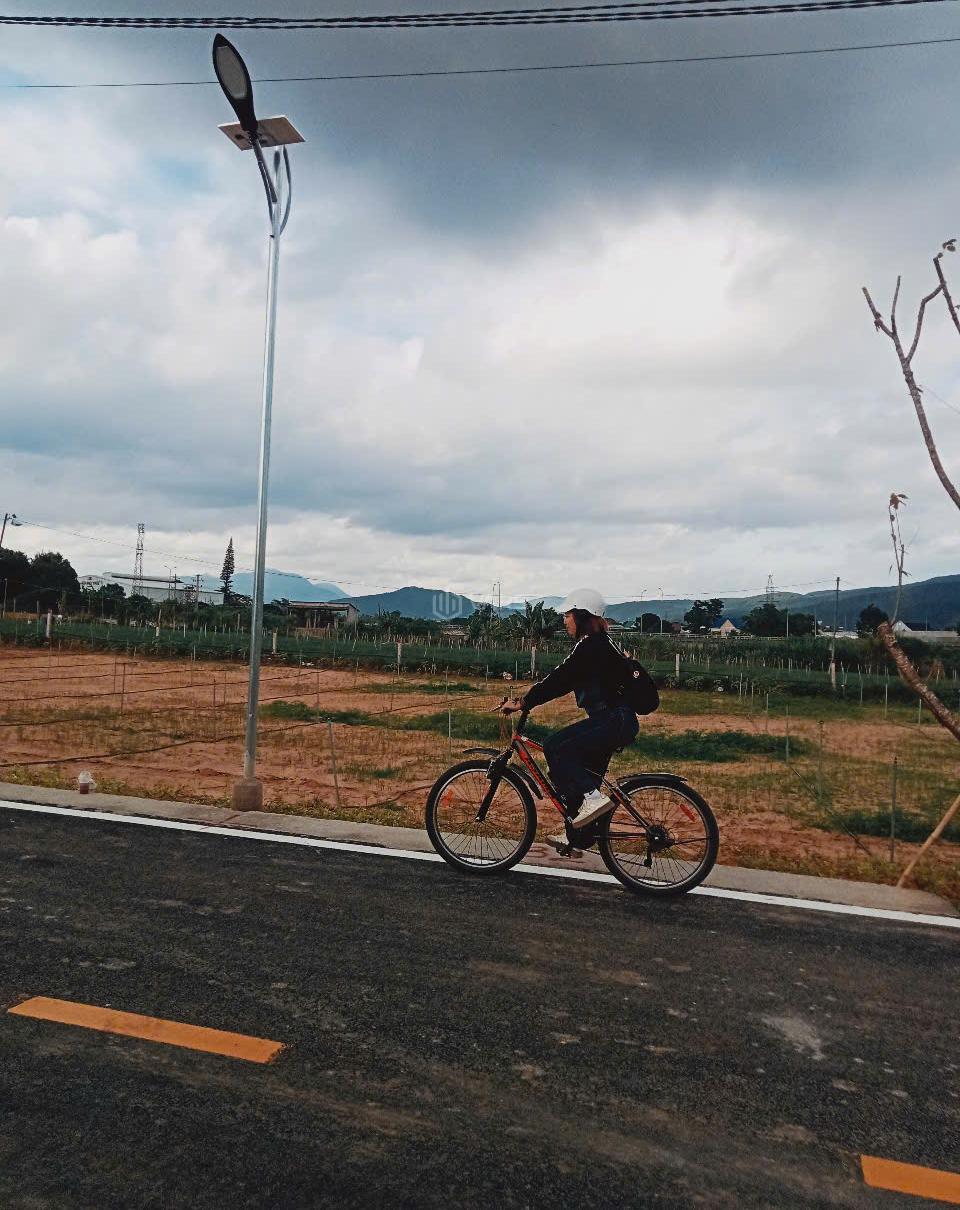 Hình ảnh 3