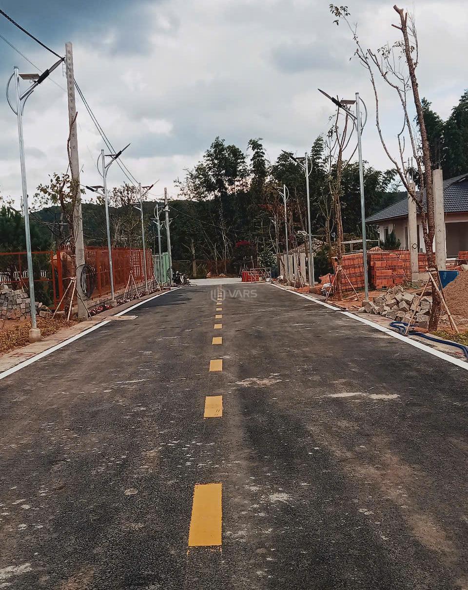 Hình ảnh 4