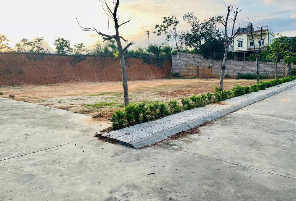 Hình ảnh 4