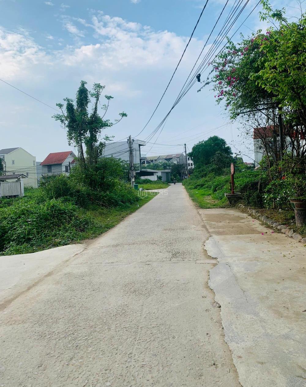 Hình ảnh 3