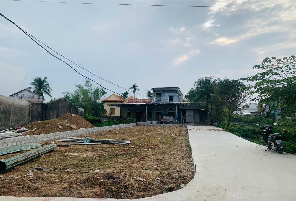 Hình ảnh 5