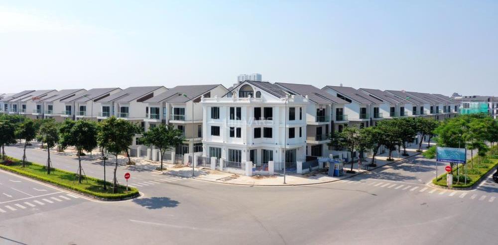 Hình ảnh 5