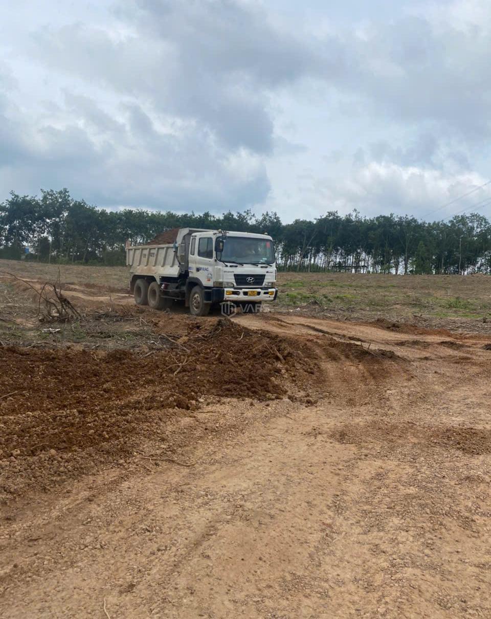 Hình ảnh 4
