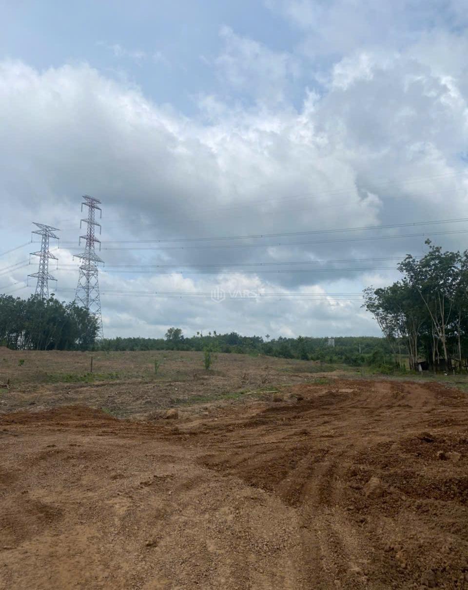 Hình ảnh 3