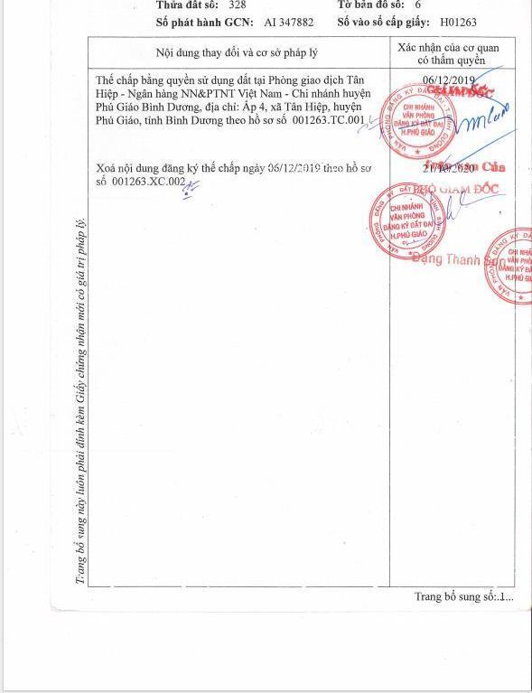 Cho thuê đất trống cln tại xã an long, tp. hồ chí minh giá 20tr 🌊 dt 4,5 ha