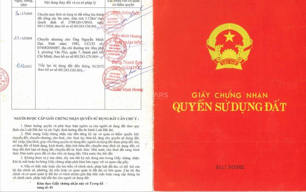 Hình ảnh 9