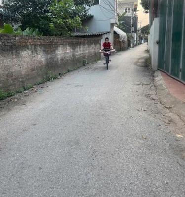 Hình ảnh 1