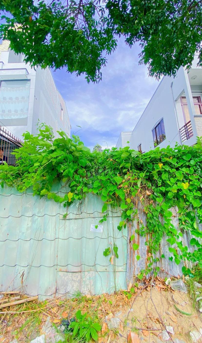 Hình ảnh 6