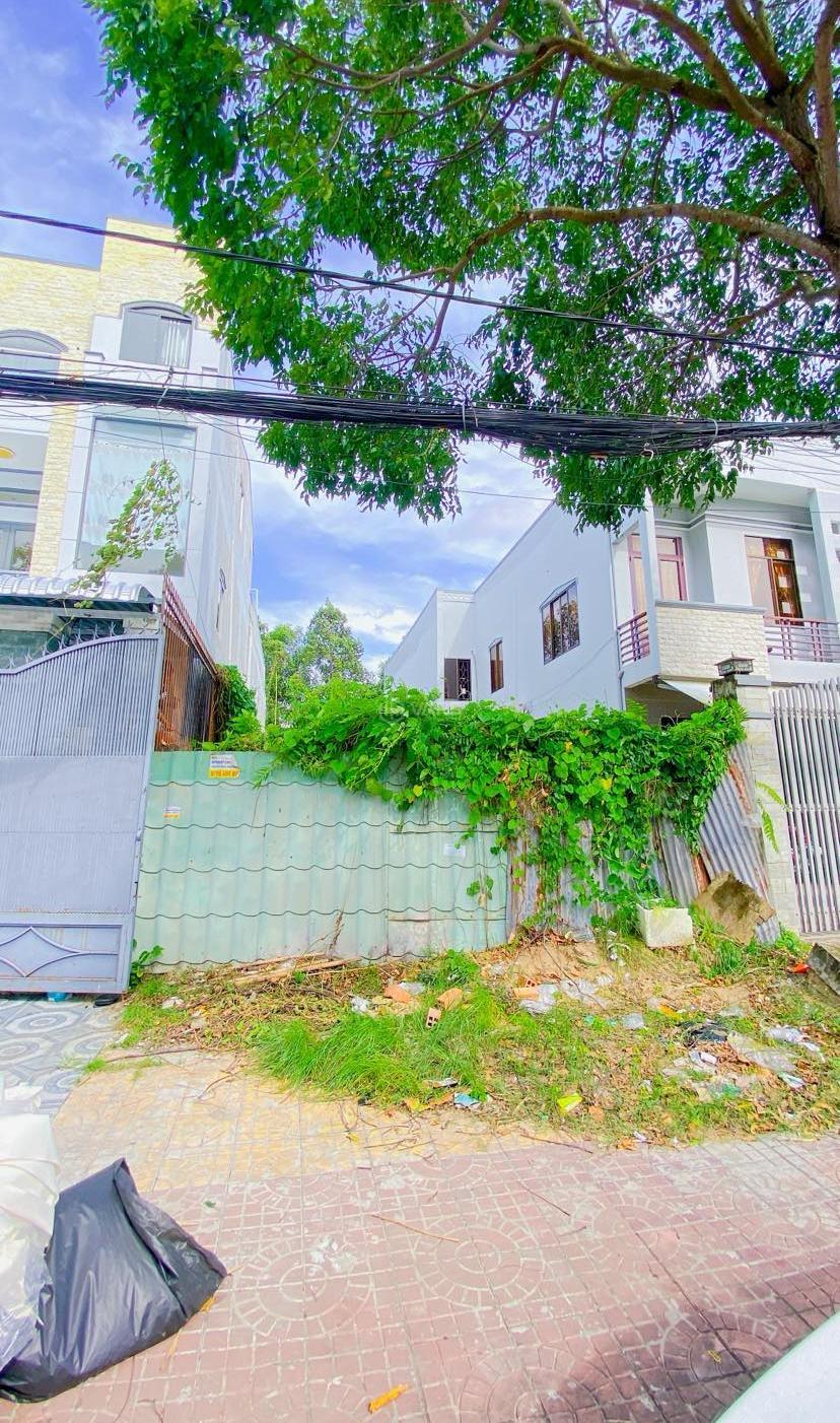 Hình ảnh 4
