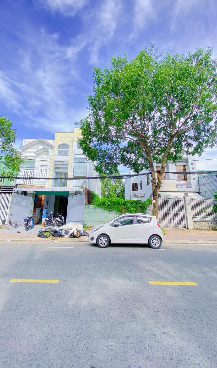 Hình ảnh 8