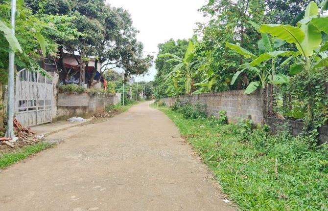 Hình ảnh 1