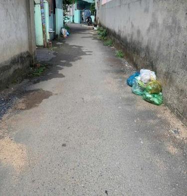 Hình ảnh 2