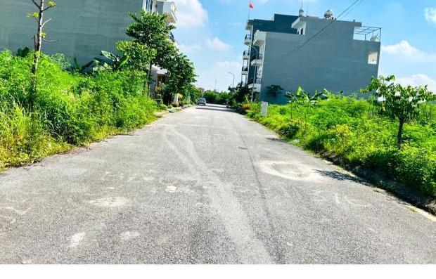 Hình ảnh 1