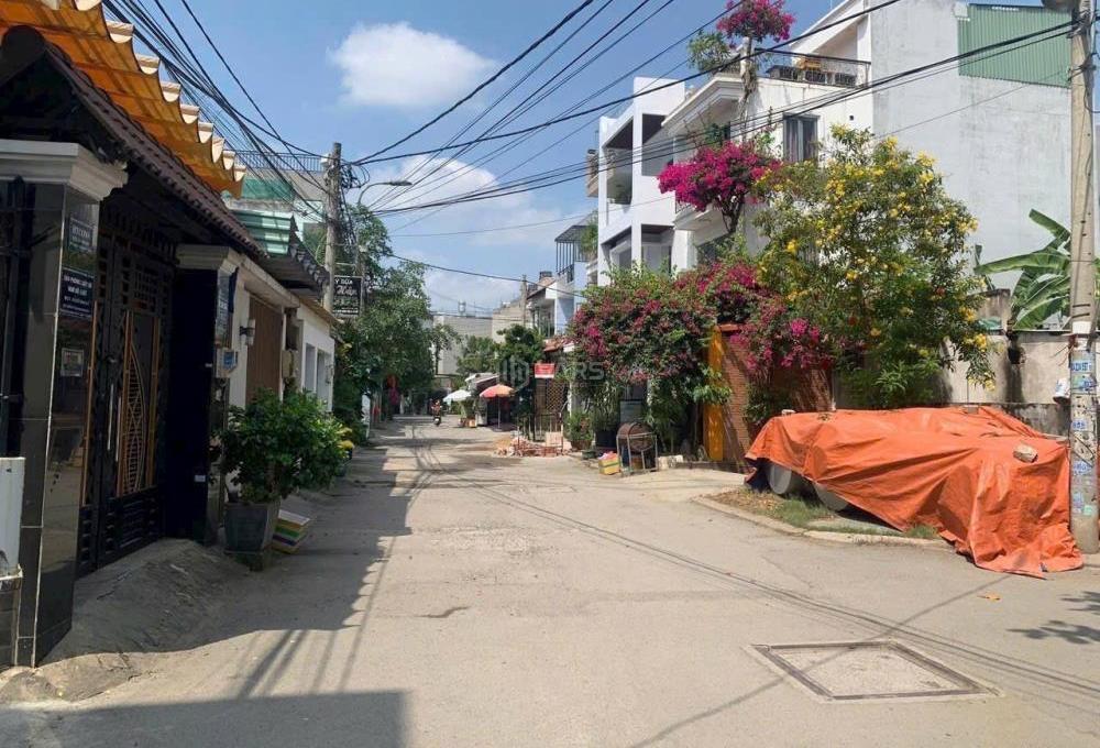 Hình ảnh 6