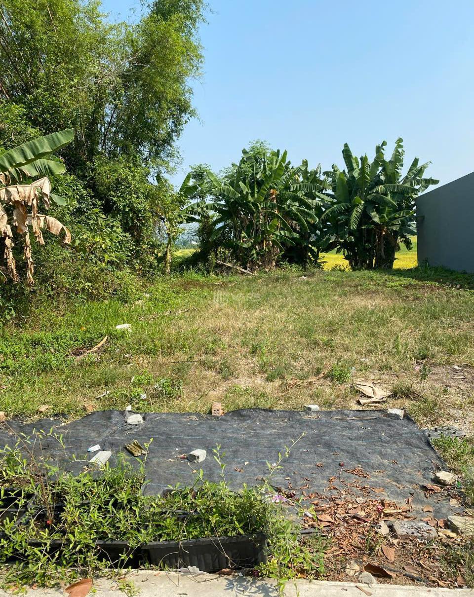 Hình ảnh 1
