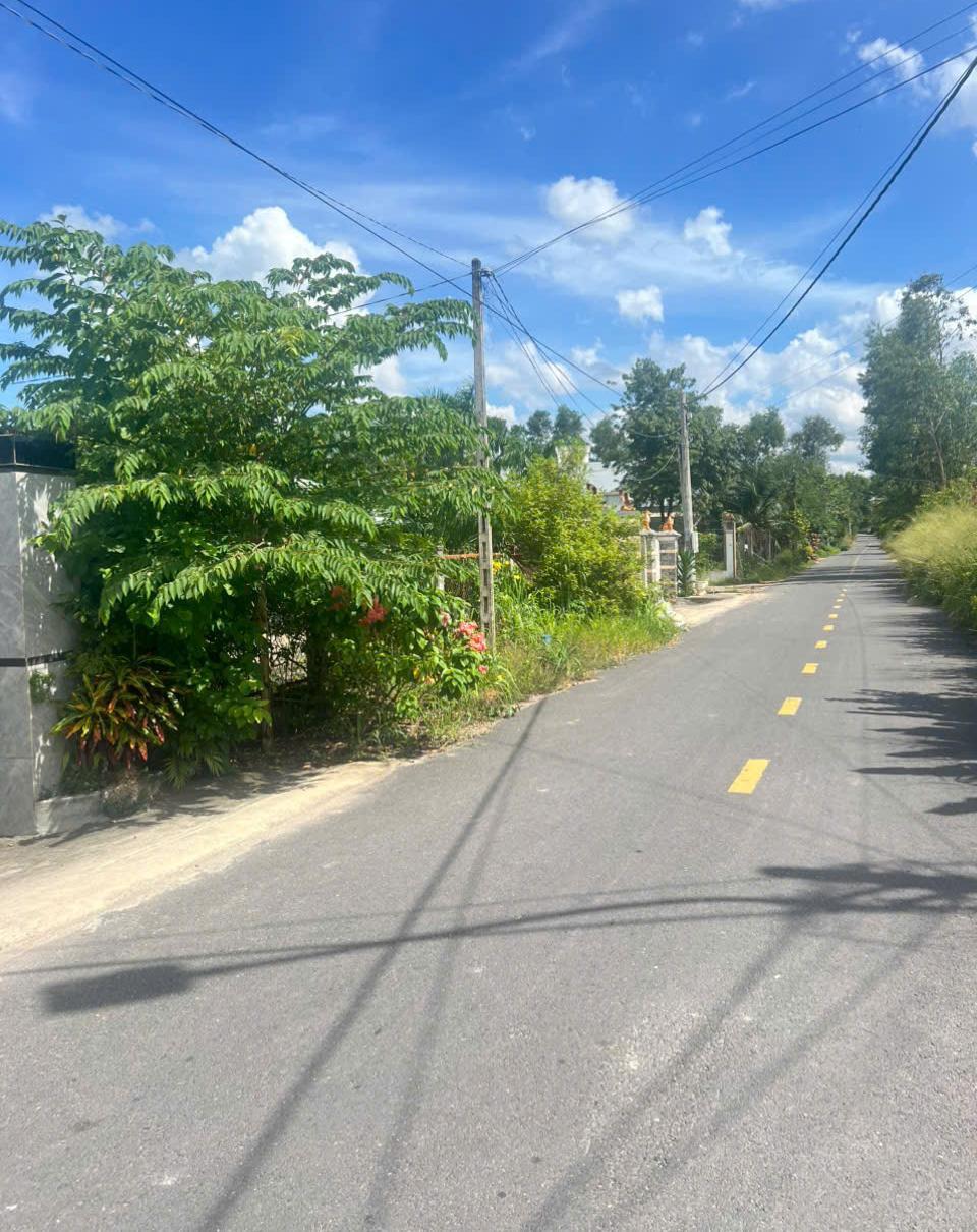 Hình ảnh 1