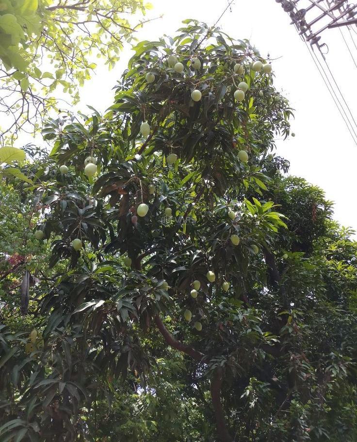 Hình ảnh 5