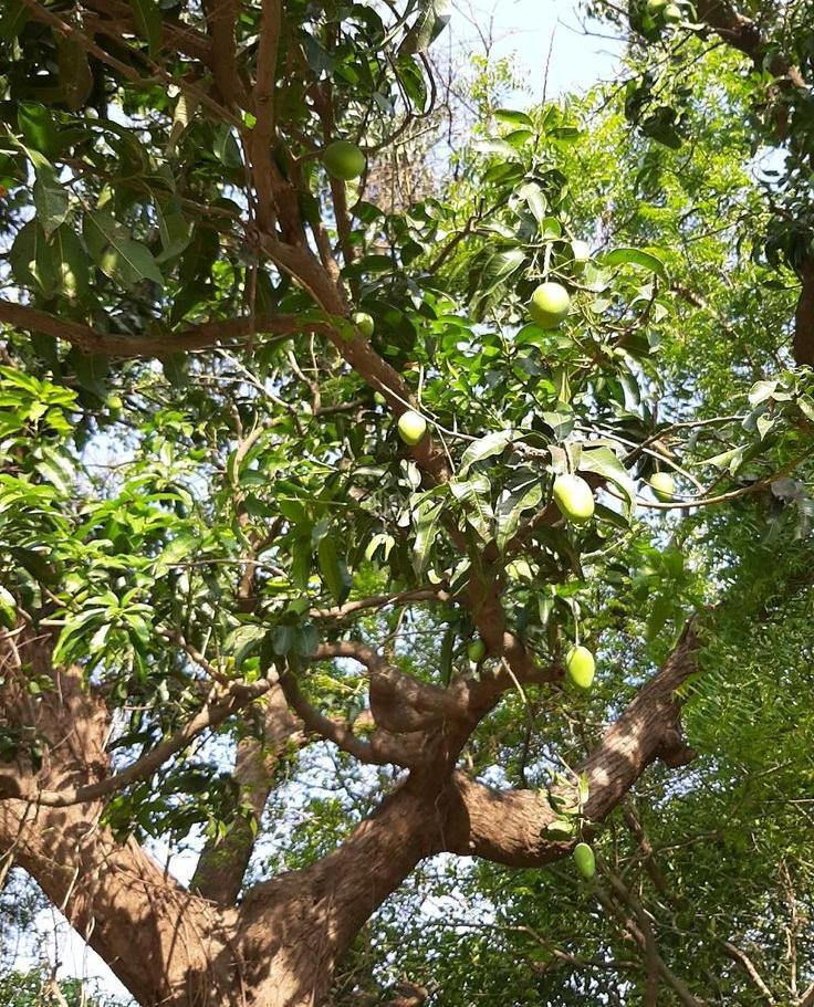 Hình ảnh 2