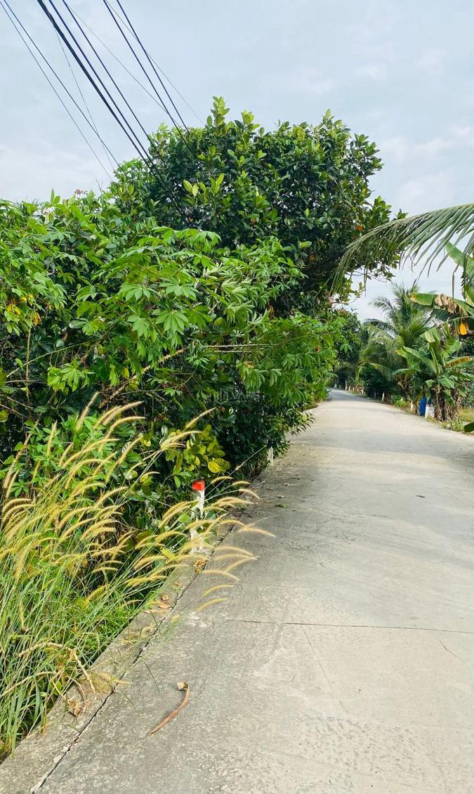 Hình ảnh 1