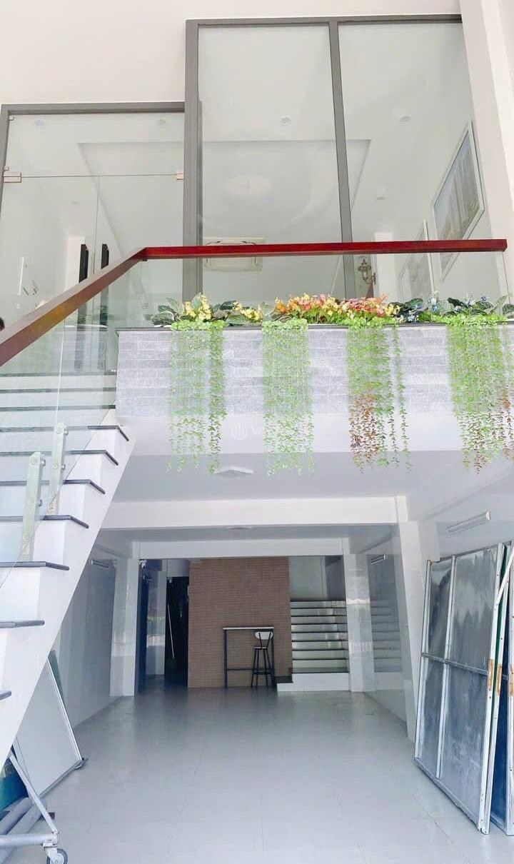 Hình ảnh 6